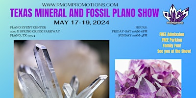 TEXAS MINERAL AND FOSSIL PLANO SHOW primary image