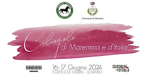 Primaire afbeelding van 17 Giugno "Ciliegiolo di Maremma e d'Italia"