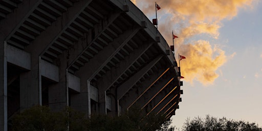 LUNG FORCE Walk at Rice University Stadium primary image