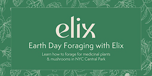 Imagem principal do evento Earth Day Foraging with Elix