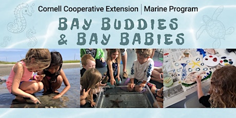 Bay Buddies - Oysters & Shells