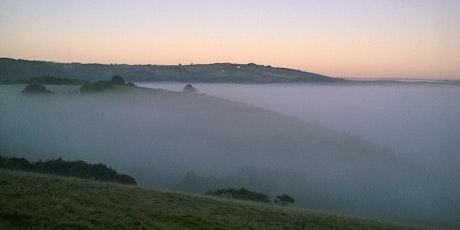 Dawn Chorus Walk at Woodah Farm