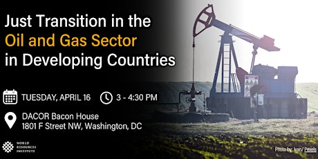 Just Transition in the  Oil and Gas Sector in Developing Countries