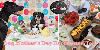 Imagem principal do evento BarKCuterie Board Build: Dog Mother’s Day Tea Party!
