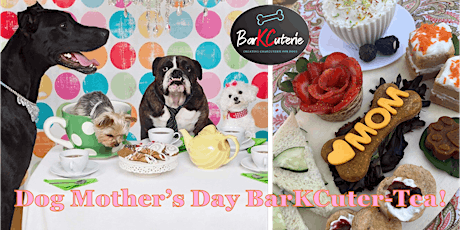 BarKCuterie Board Build: Dog Mother’s Day Tea Party!