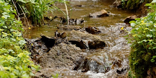 Hauptbild für LE VALLON DE LA MOULAINE