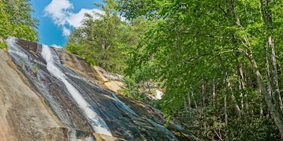 Primaire afbeelding van Waterfalls along Segment 6 of the Mountains-to-Sea Trail Hike