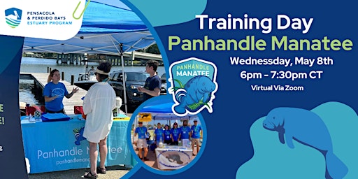 Imagen principal de Panhandle Manatee Volunteer Training