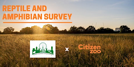 Imagen principal de Herpetofauna Survey Day: Citizen Zoo x LARG Tolworth Court / Moated Manor
