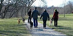 Pets for Mental Health Edinburgh Day Dog Walk primary image