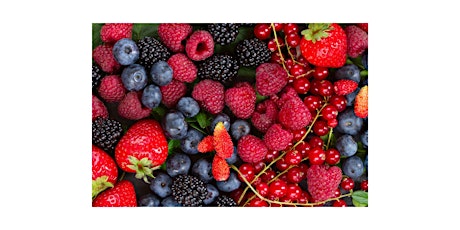 Healthy Brains and Berries