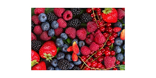 Healthy Brains and Berries primary image