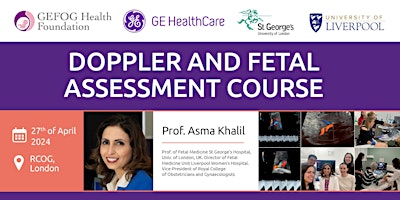 Doppler and fetal assessment course - Theoretical and hands on  & Virtual primary image