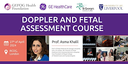 Doppler and fetal assessment course - Theoretical and hands on  & Virtual primary image