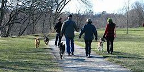 Pets for Mental Health Edinburgh Day Dog Walk