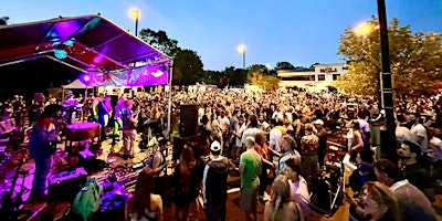 Immagine principale di LTD Brewing Co 10th Anniversary Block Party 