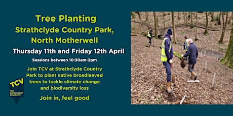 Imagem principal de Tree Planting at Strathclyde Country Park
