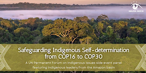 Hauptbild für Safeguarding Indigenous Self-determination from COP16 to COP30