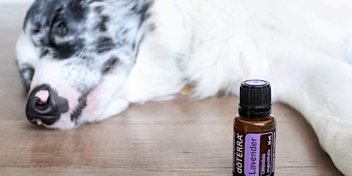 Imagem principal de Essential Oils + Make and Take Tick Spray