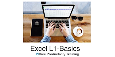 Imagen principal de Excel L1-Basics