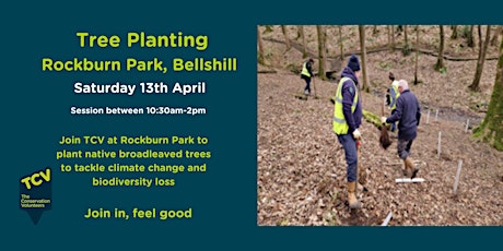 Hauptbild für Tree Planting at Rockburn Park