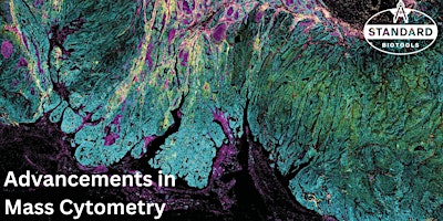 Primaire afbeelding van Visualization, Segmentation, and Single Cell Analysis in IMC