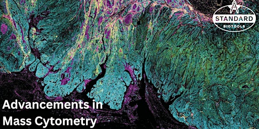 Immagine principale di Visualization, Segmentation, and Single Cell Analysis in IMC 