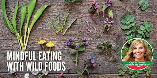 Mindful Eating with Wild Foods primary image
