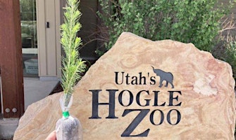 Imagen principal de Wildly Sustainable with Hogle Zoo