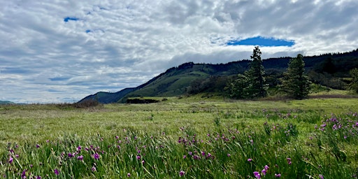 2024 Columbia Gorge CWMA Field Day in Mosier, OR primary image