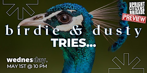Imagem principal do evento *UCBNY Preview* birdie & dusty tries...