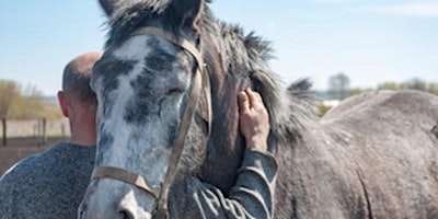 Primaire afbeelding van Warriors Healing with Horses