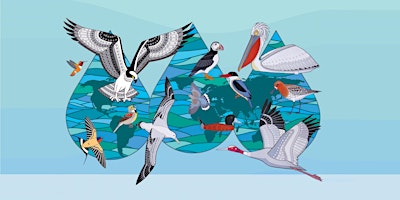 Primaire afbeelding van City of Vaughan World Migratory Bird Day Event
