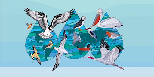 Image principale de City of Vaughan World Migratory Bird Day Event