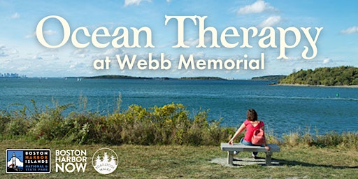 Half-day Ocean Therapy Retreat at Webb Memorial State Park primary image