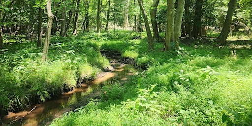 Imagem principal do evento Guided Nature Walk