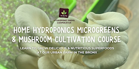 Home Hydroponics Microgreens & Mushroom Course #5, Saturdays (In Person)