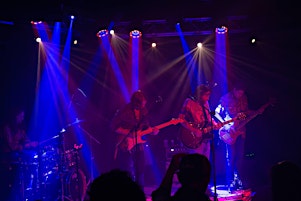 Imagem principal de Stray Dogs @ the Alibi, Telluride, CO - August 1