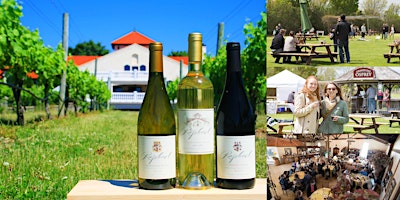 Primaire afbeelding van Sourced Adventures Long Island Wine Tour w/ Roundtrip Bus from NYC