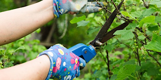 Hauptbild für Pruning Workshop at Friendship Botanic Gardens