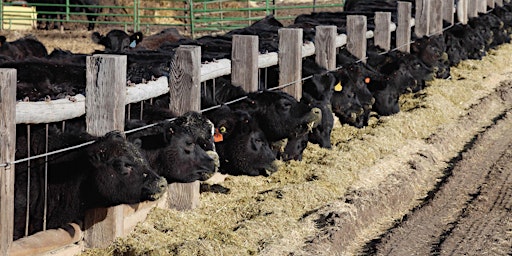 Primaire afbeelding van Siouxland Feedlot Forum [MC-03358-01]