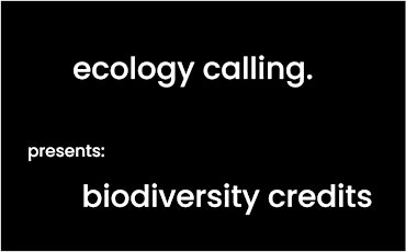 ecology calling. presents: biodiversity credits