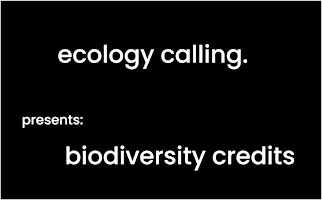 Hauptbild für ecology calling. presents: biodiversity credits