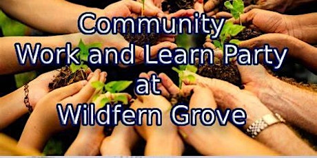 Work & Learn Party at WildFern Grove with Abundant Living Landscaping 4/20