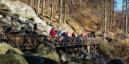 Primaire afbeelding van So,19.05.24 Wanderdate Singlewandern - Highlights im Felsenmeer für 50+