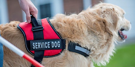 Celebrating International Guide Dog Day - Connection Event