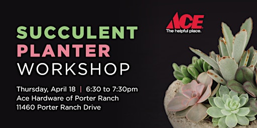 Succulent Planter Workshop primary image