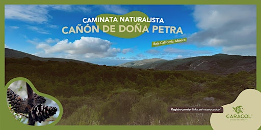 Caminata Naturalista en Cañón de Doña Petra  primärbild