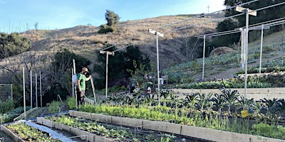 Hauptbild für Milpa Workshop at LALA Farm May 4