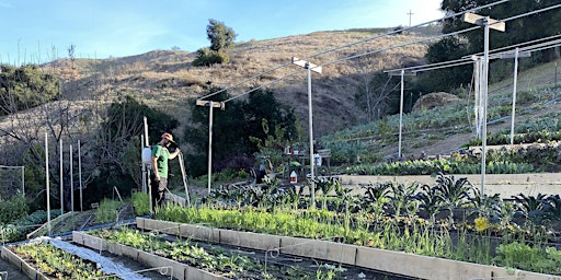 Hauptbild für Milpa Workshop at LALA Farm May 4